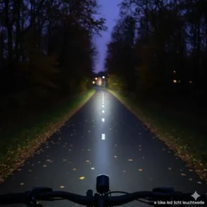 Nachtaufnahme der straße, beleuchtet durch das e bike licht set led, mit großer leuchtweite.